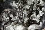 Septarian Dragon Egg Geode - Black Crystals #109971-1
